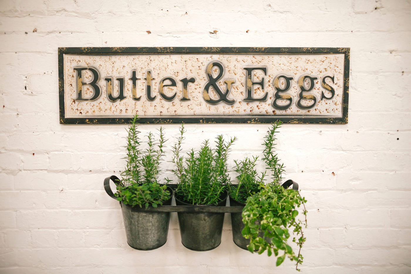 Butter & Eggs-Metal Art 123x33cm