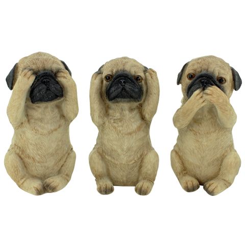 Hear/See/Speak  Pug Set of 3