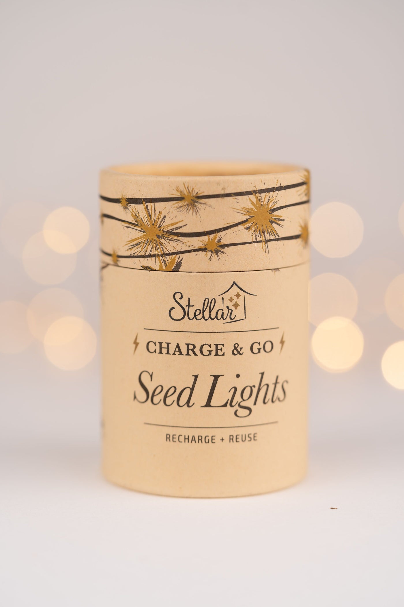 Stellar Charge & Go Silver Seed Lights 3m